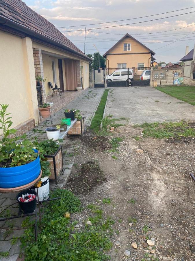 Casa Ionela Villa Cluj Napoca Bagian luar foto